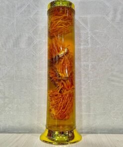 Rượu Đông Trùng Hạ Thảo 1.8 lít