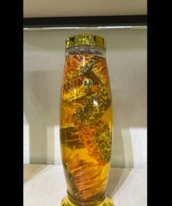 Rượu Đông Trùng Hạ Thảo 2.6 lít