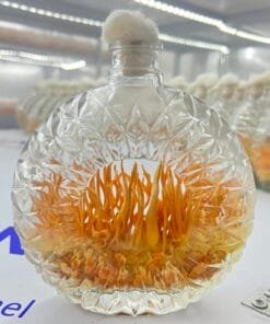 Đông Trùng Hạ Thảo Sinh Khối Tươi cấy chai XO 500ml