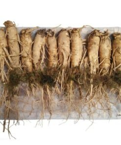 Nhân Sâm Tươi Hàn Quốc 10 Củ/kg - Hàng Đẹp Đủ Tuổi