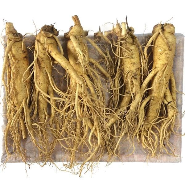Nhân Sâm Tươi Hàn Quốc 5 Củ