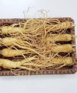 Nhân Sâm Tươi Hàn Quốc 8 Củ/kg - Hàng Đẹp Đủ Tuổi